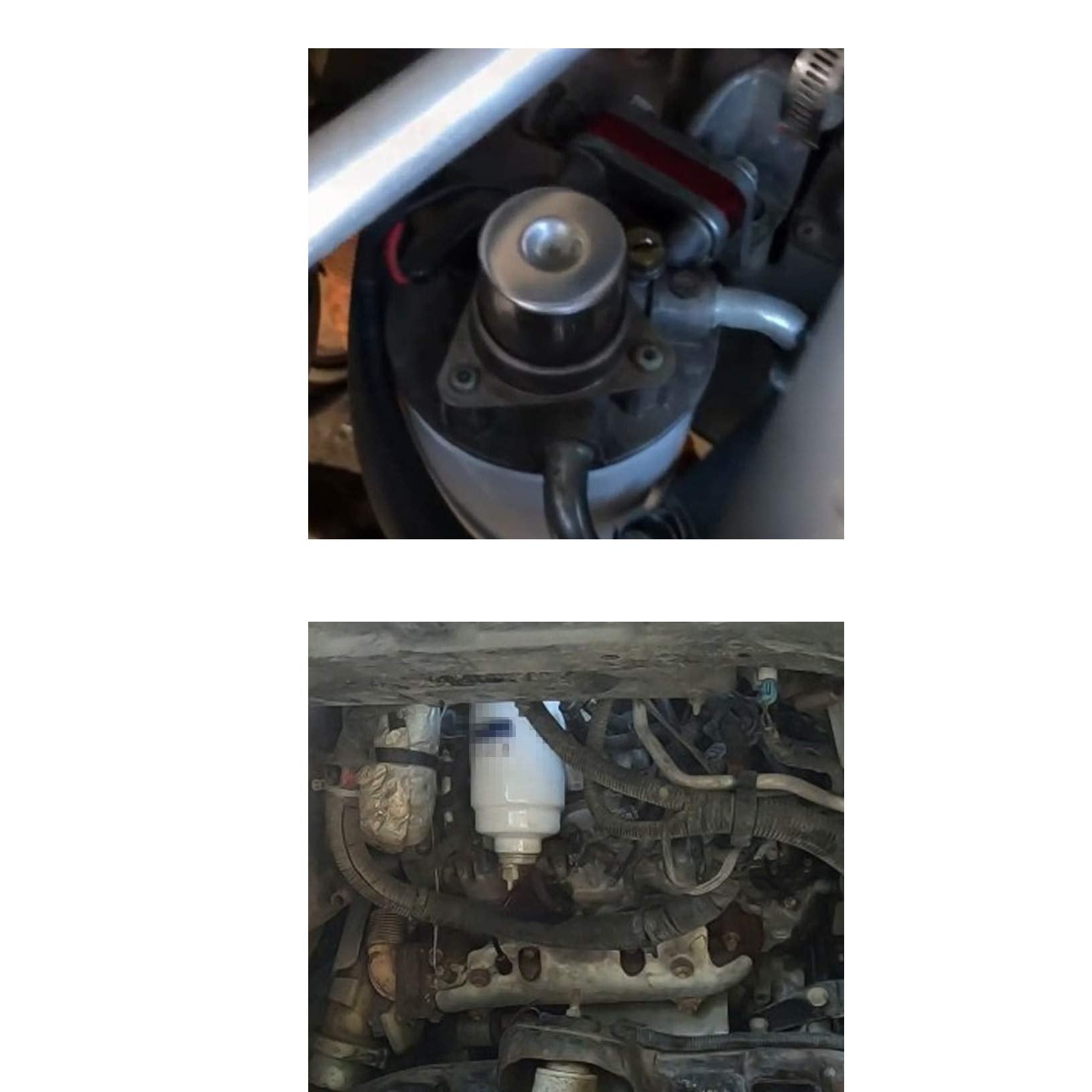 Fuel Filter | 2001-2016 Chevrolet/GMC 6.6L V8 Duramax