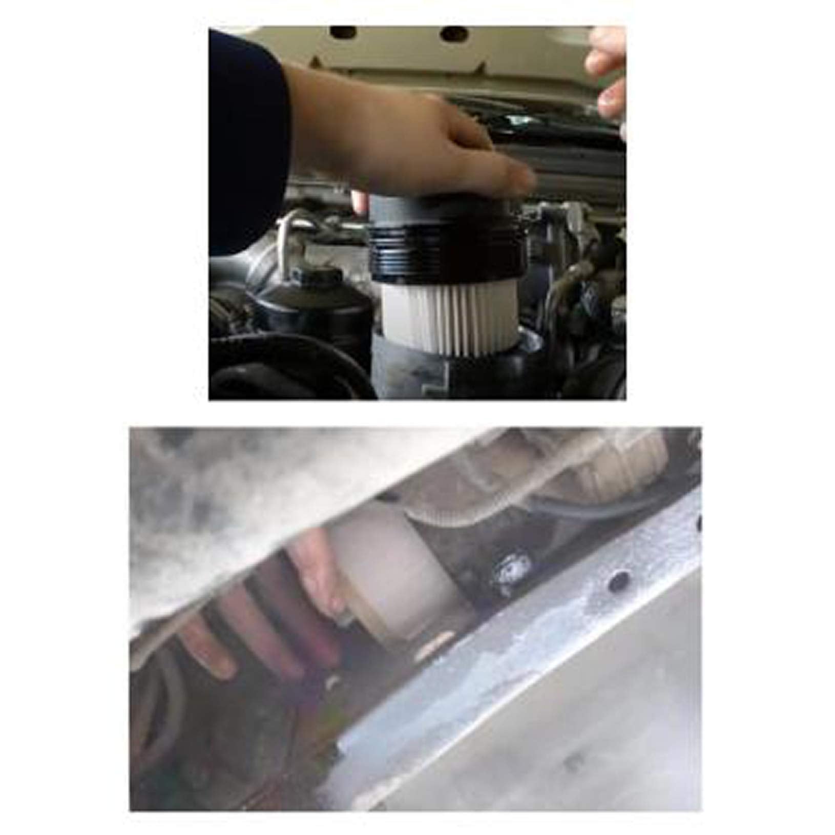 Fuel Filter | 2008-2010 Ford 6.4L Powerstroke